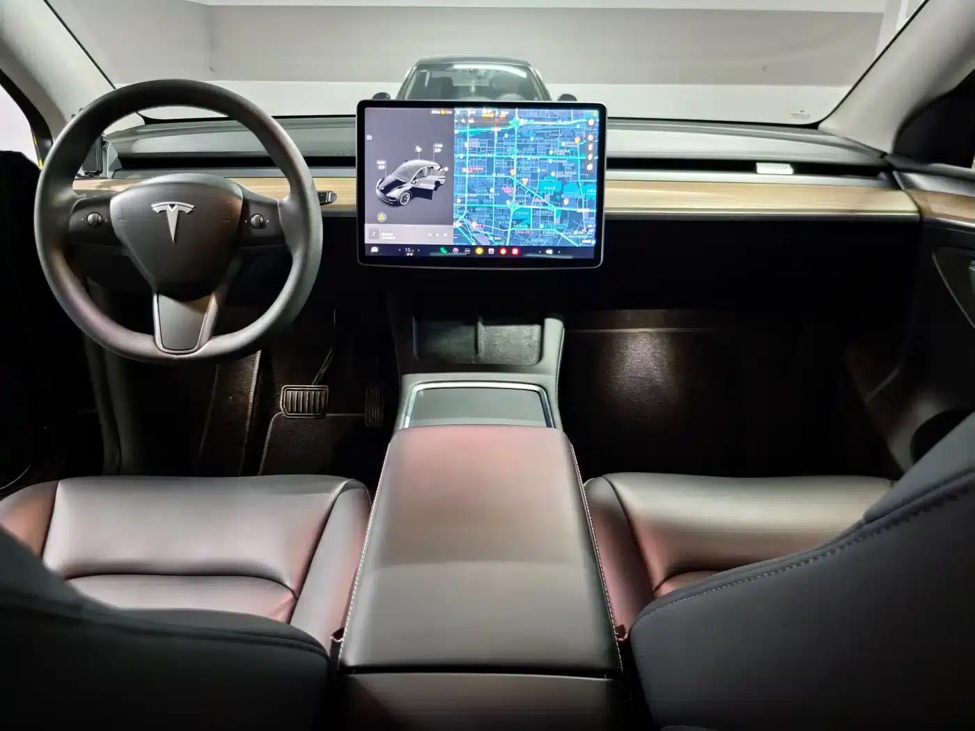 Model Y 2021 Standard Range Rear-Wheel Drive — миниатюра 8