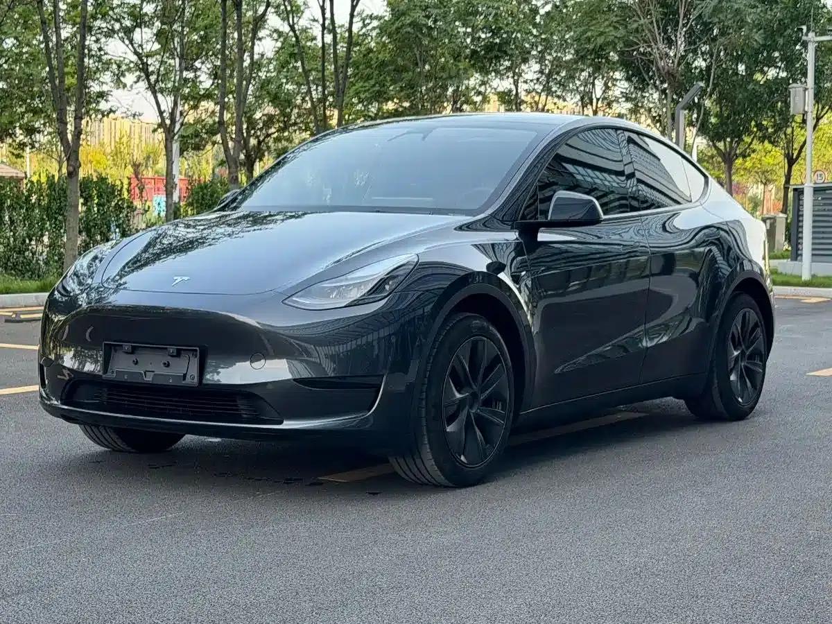 Model Y 2024 Rear-Wheel Drive — миниатюра 1
