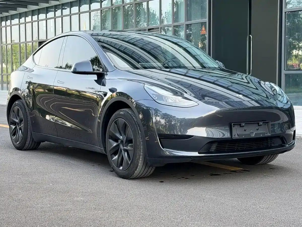 Model Y 2024 Rear-Wheel Drive — миниатюра 3