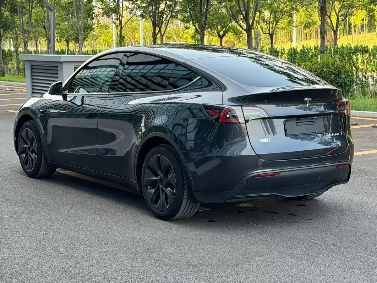 Model Y 2024 Rear-Wheel Drive — миниатюра 4