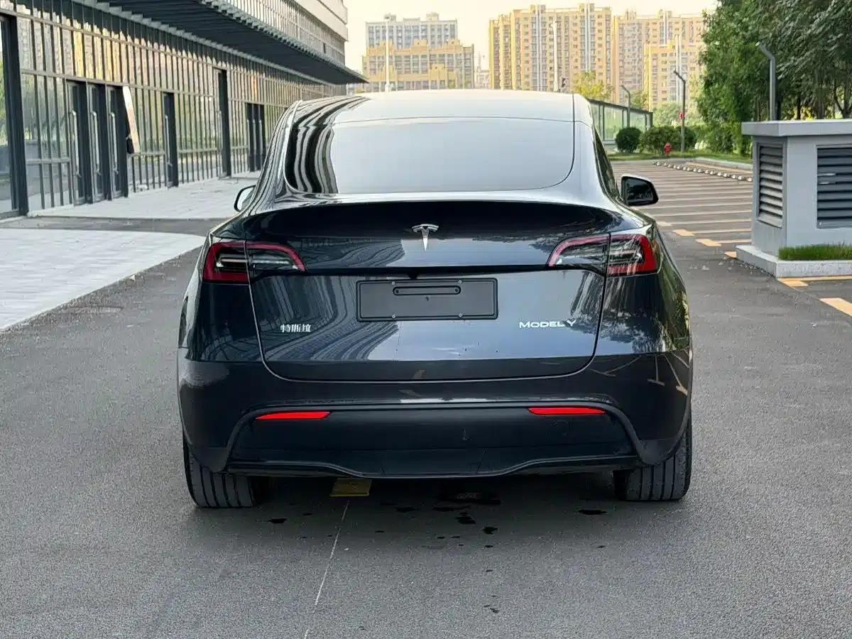 Model Y 2024 Rear-Wheel Drive — миниатюра 5