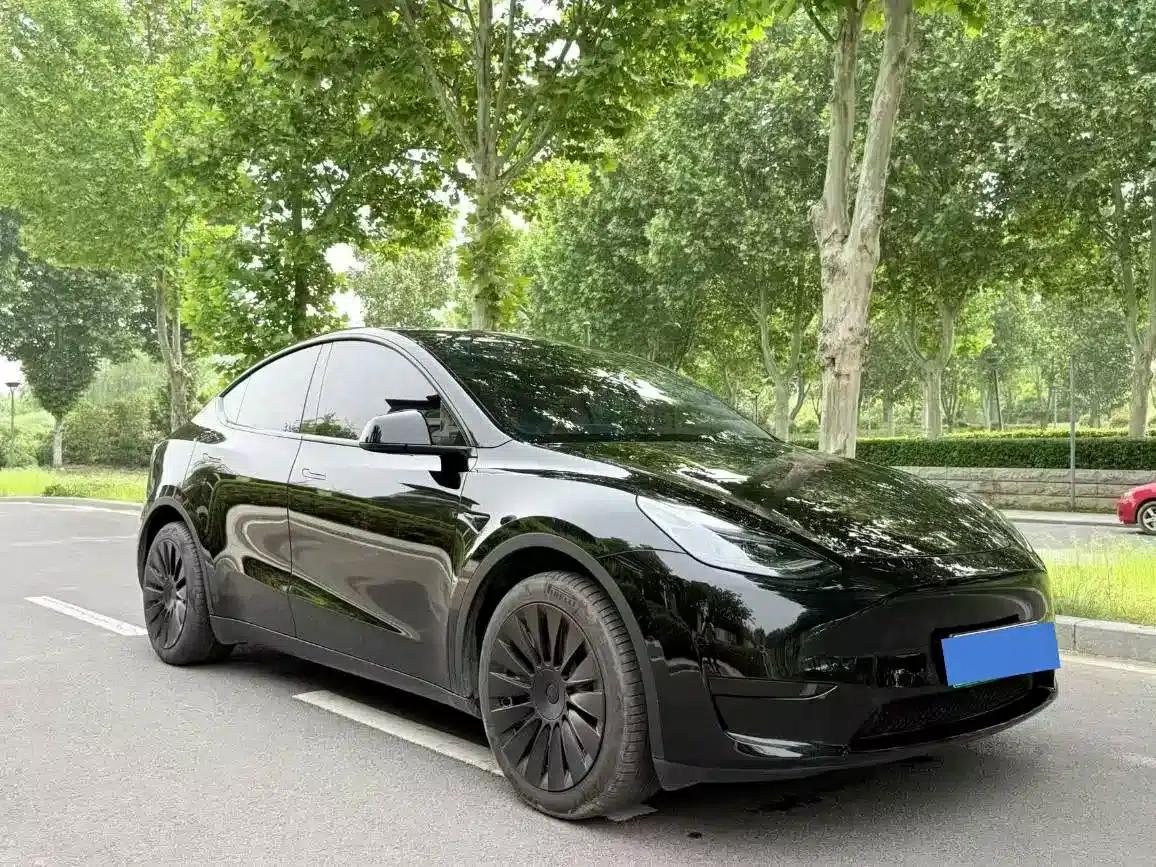 Model Y 2023 Rear-Wheel Drive — миниатюра 3