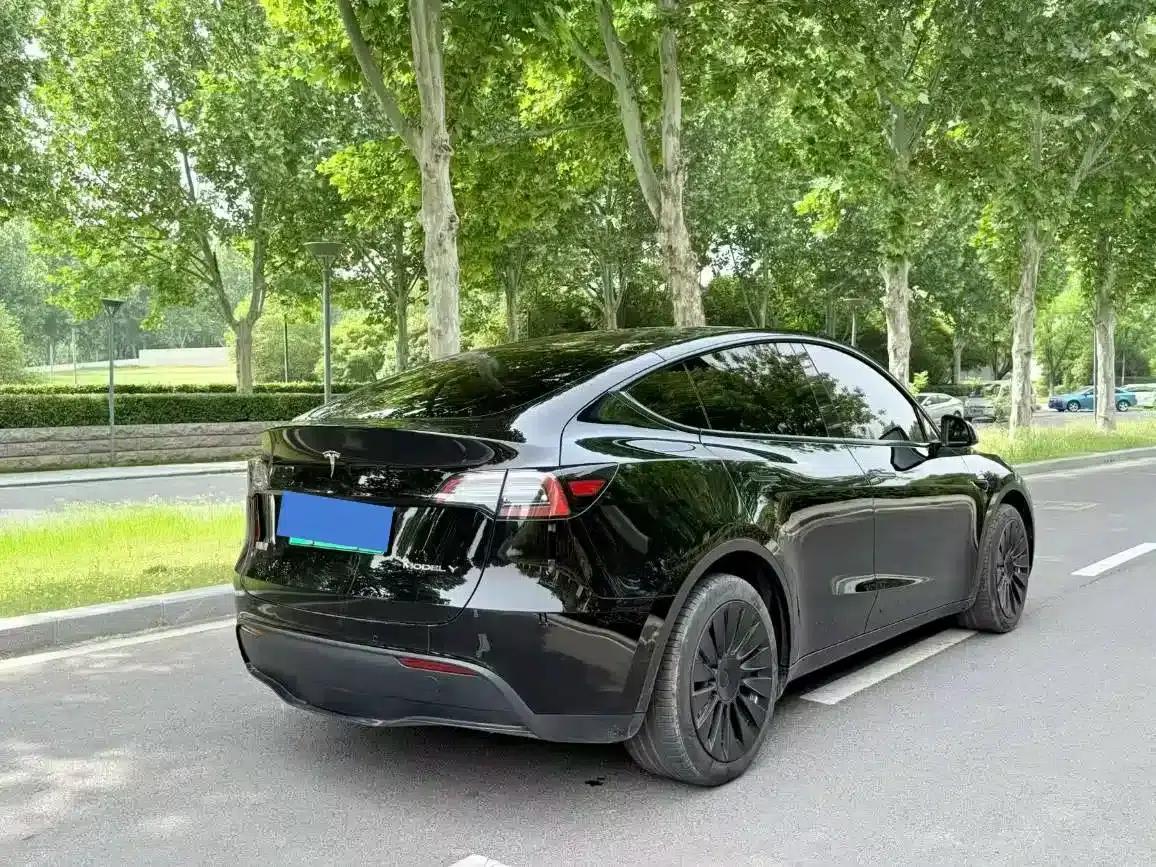 Model Y 2023 Rear-Wheel Drive — миниатюра 9