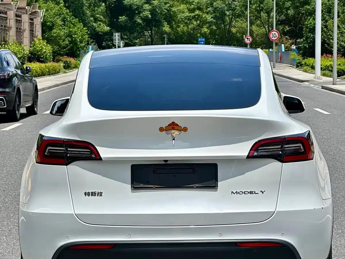 Model Y 2022 Long Range All-Wheel Drive — миниатюра 6