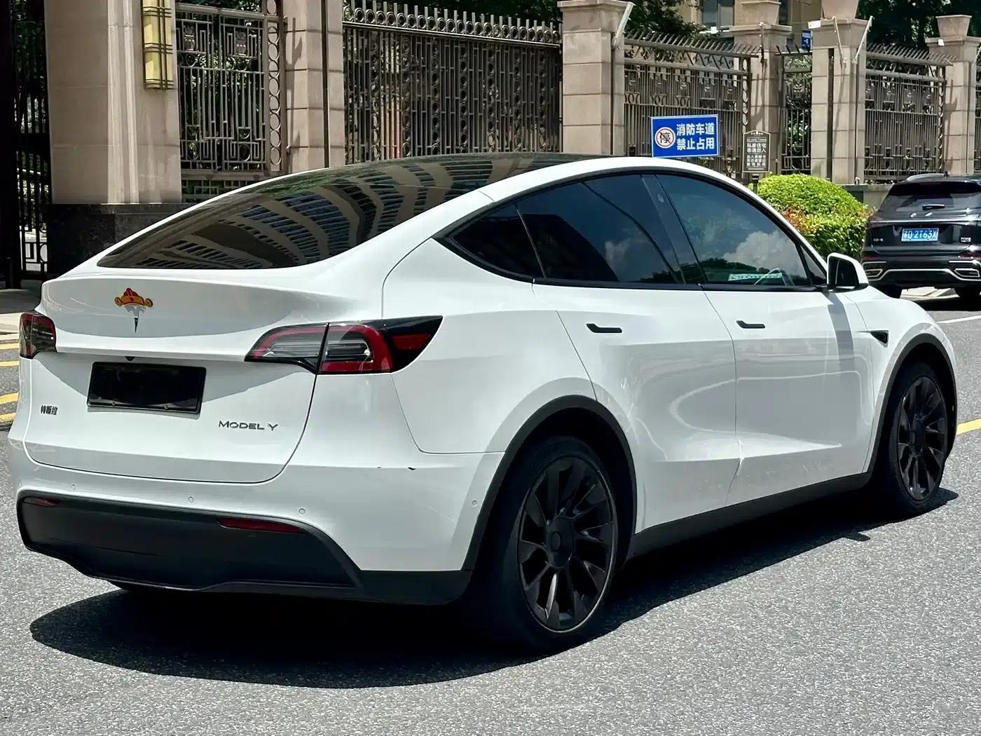 Model Y 2022 Long Range All-Wheel Drive — миниатюра 9