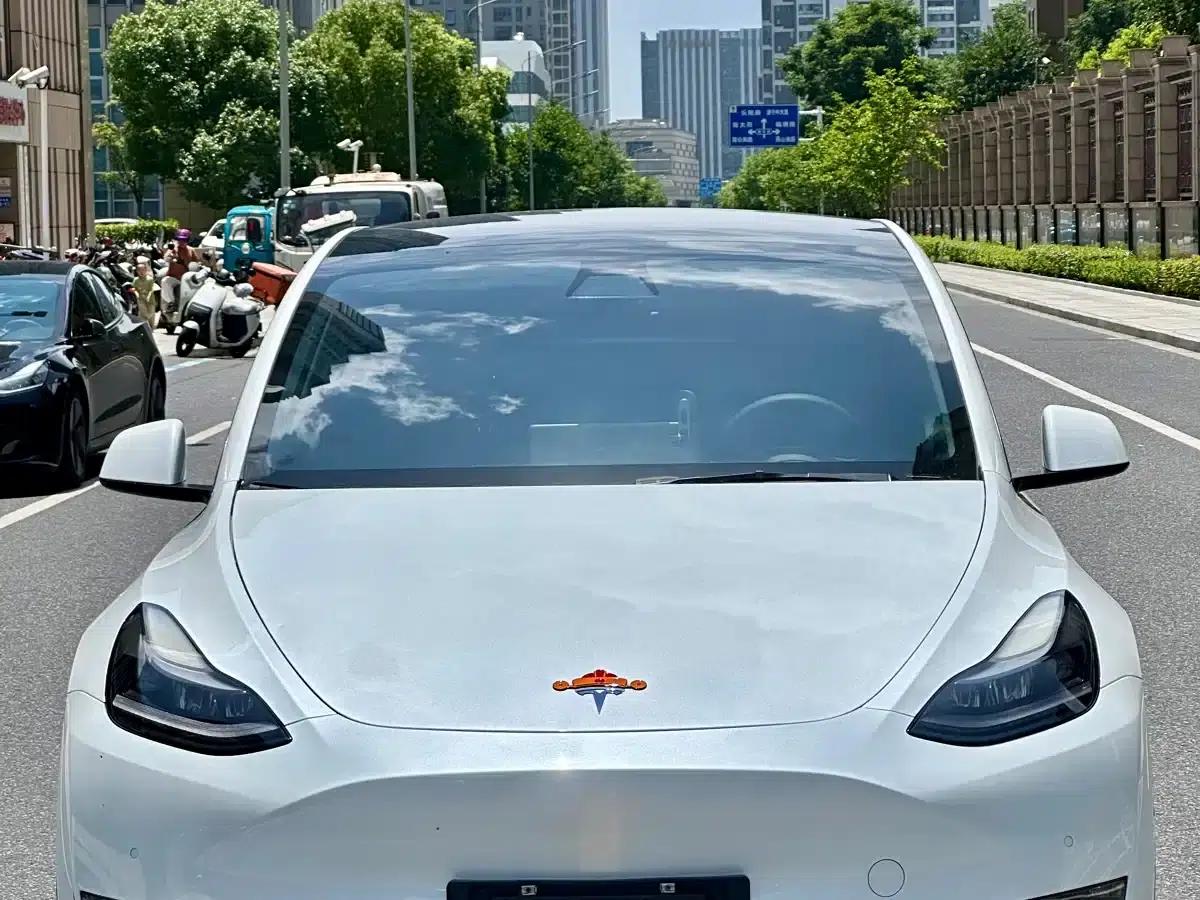 Model Y 2022 Long Range All-Wheel Drive — миниатюра 10