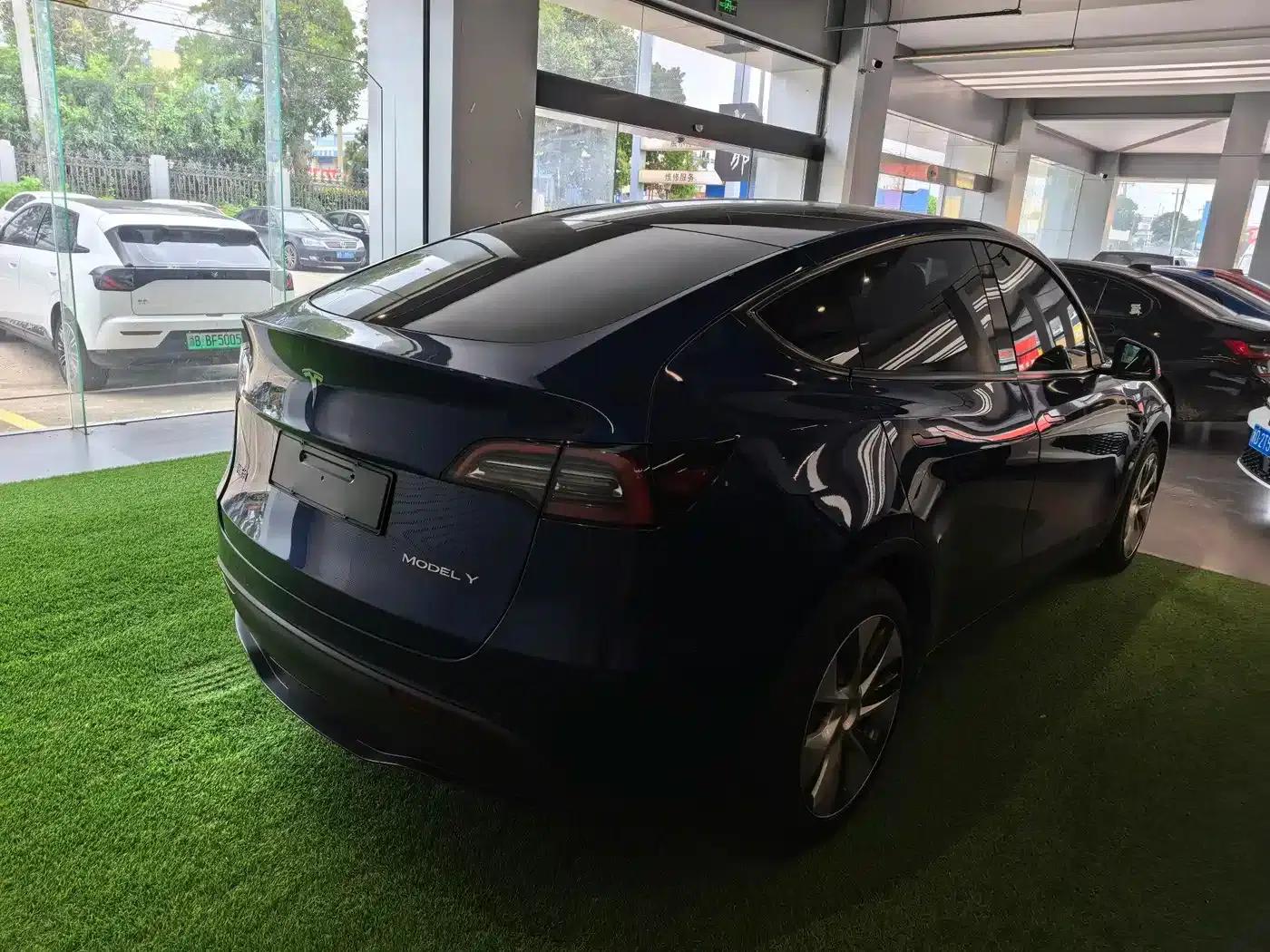Model Y 2021 Long Range All-Wheel Drive — миниатюра 6