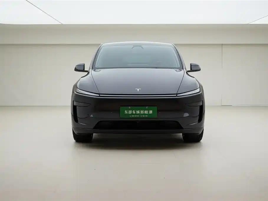 Model Y 2025 Long Range All-Wheel Drive — миниатюра 2