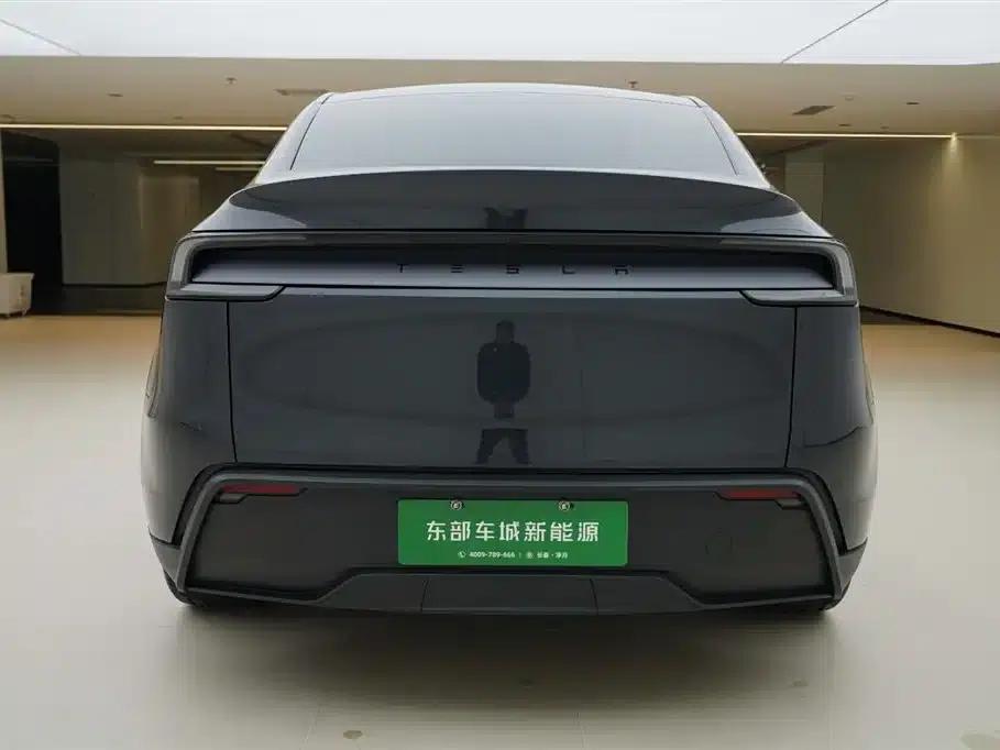 Model Y 2025 Long Range All-Wheel Drive — миниатюра 4