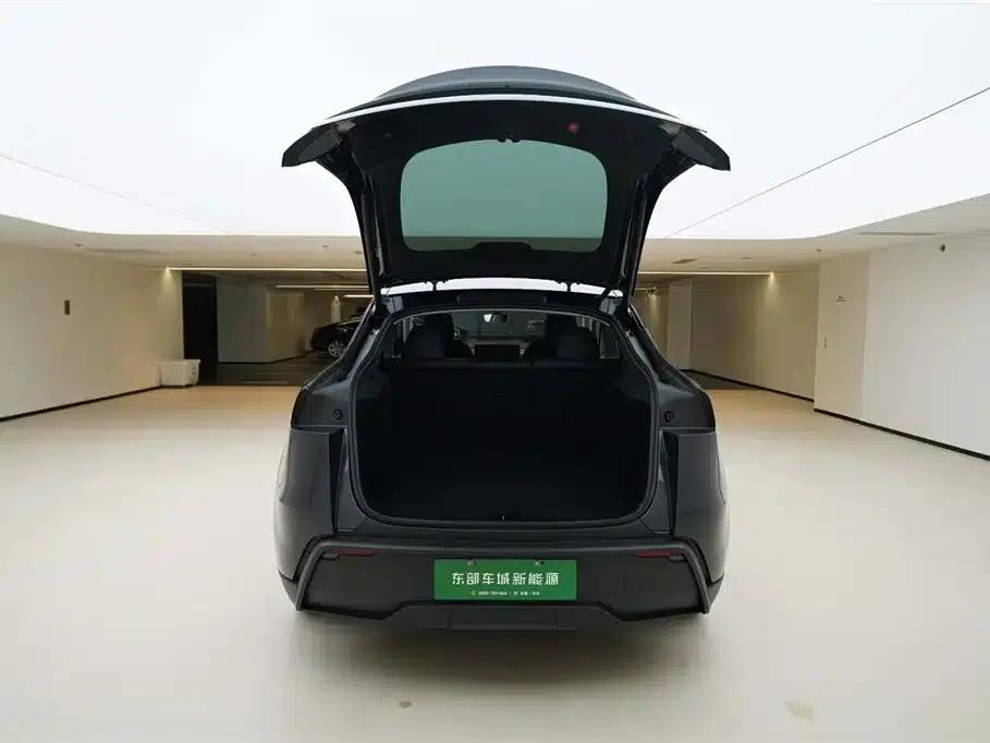 Model Y 2025 Long Range All-Wheel Drive — миниатюра 6