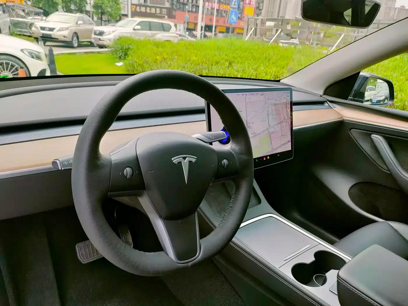 Model Y 2021 Standard Range Rear-Wheel Drive — миниатюра 11