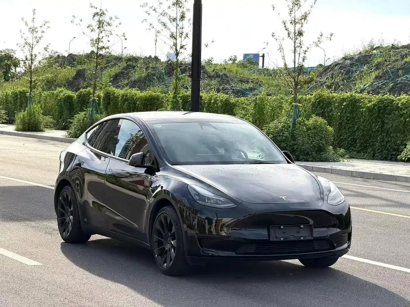 Model Y 2021 Standard Range Rear-Wheel Drive — миниатюра 3