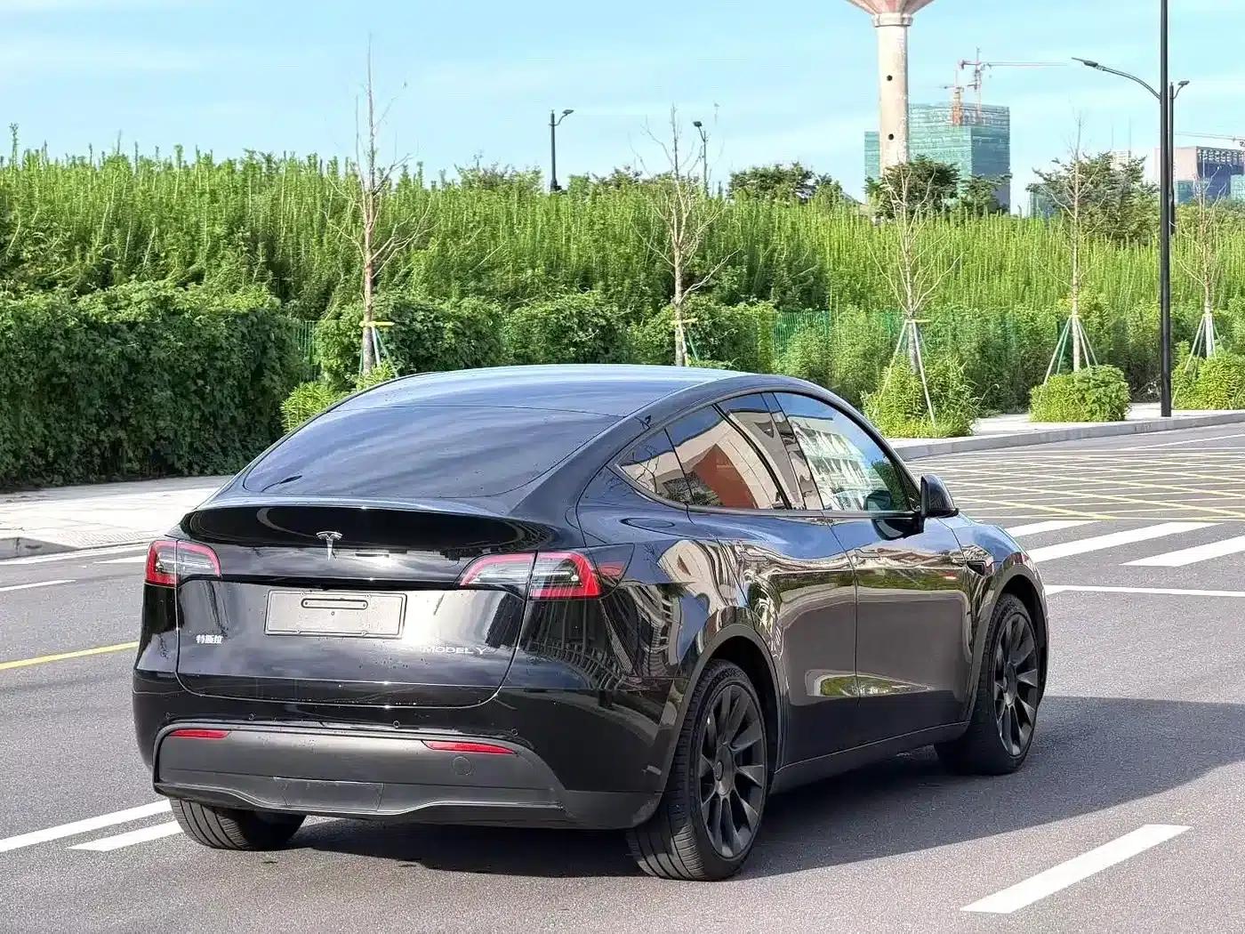 Model Y 2021 Standard Range Rear-Wheel Drive — миниатюра 7