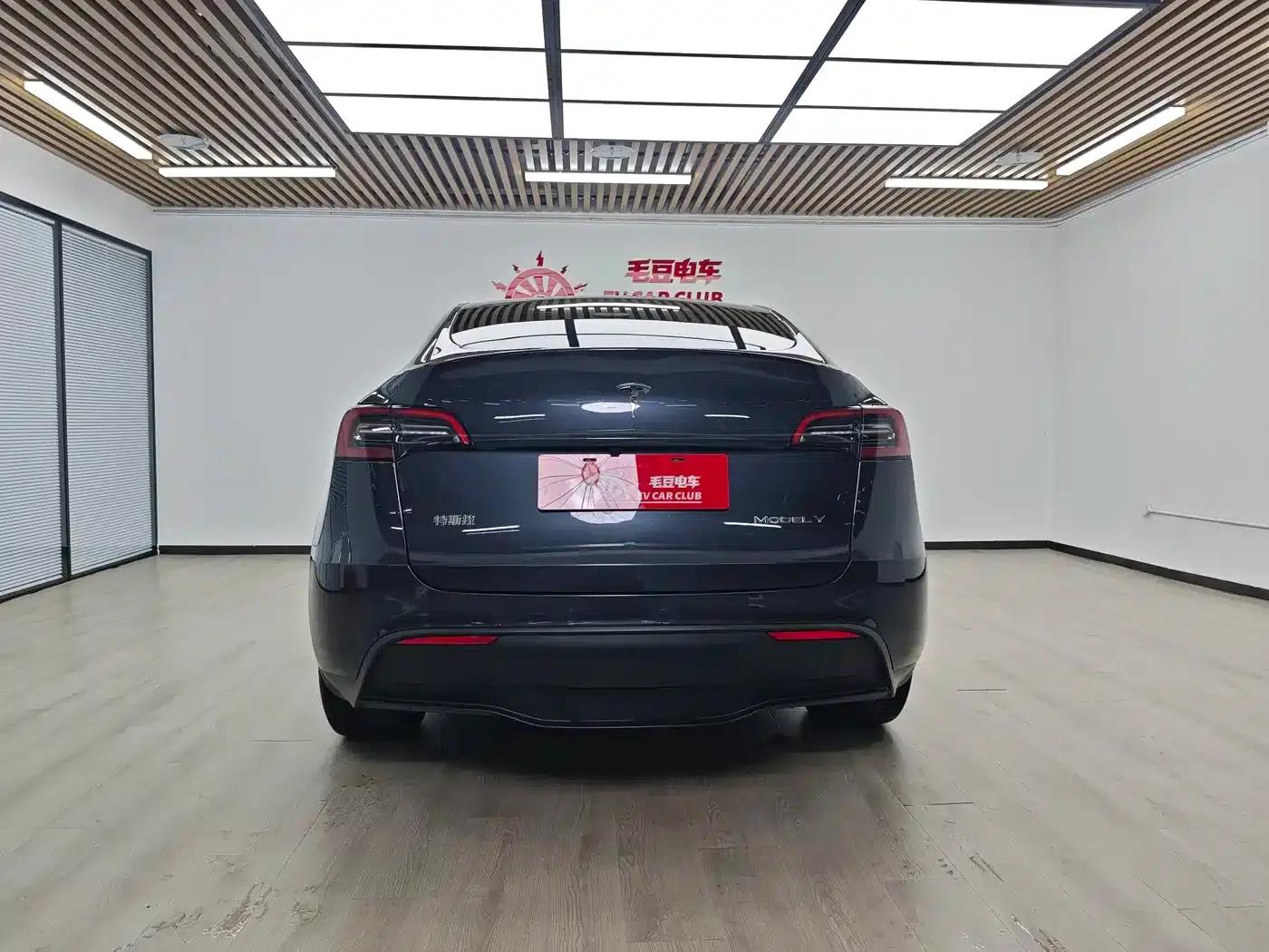 Model Y 2024 Long Range All-Wheel Drive — миниатюра 6