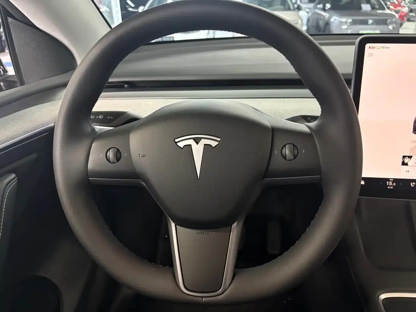 Model Y 2023 Rear-Wheel Drive — миниатюра 9