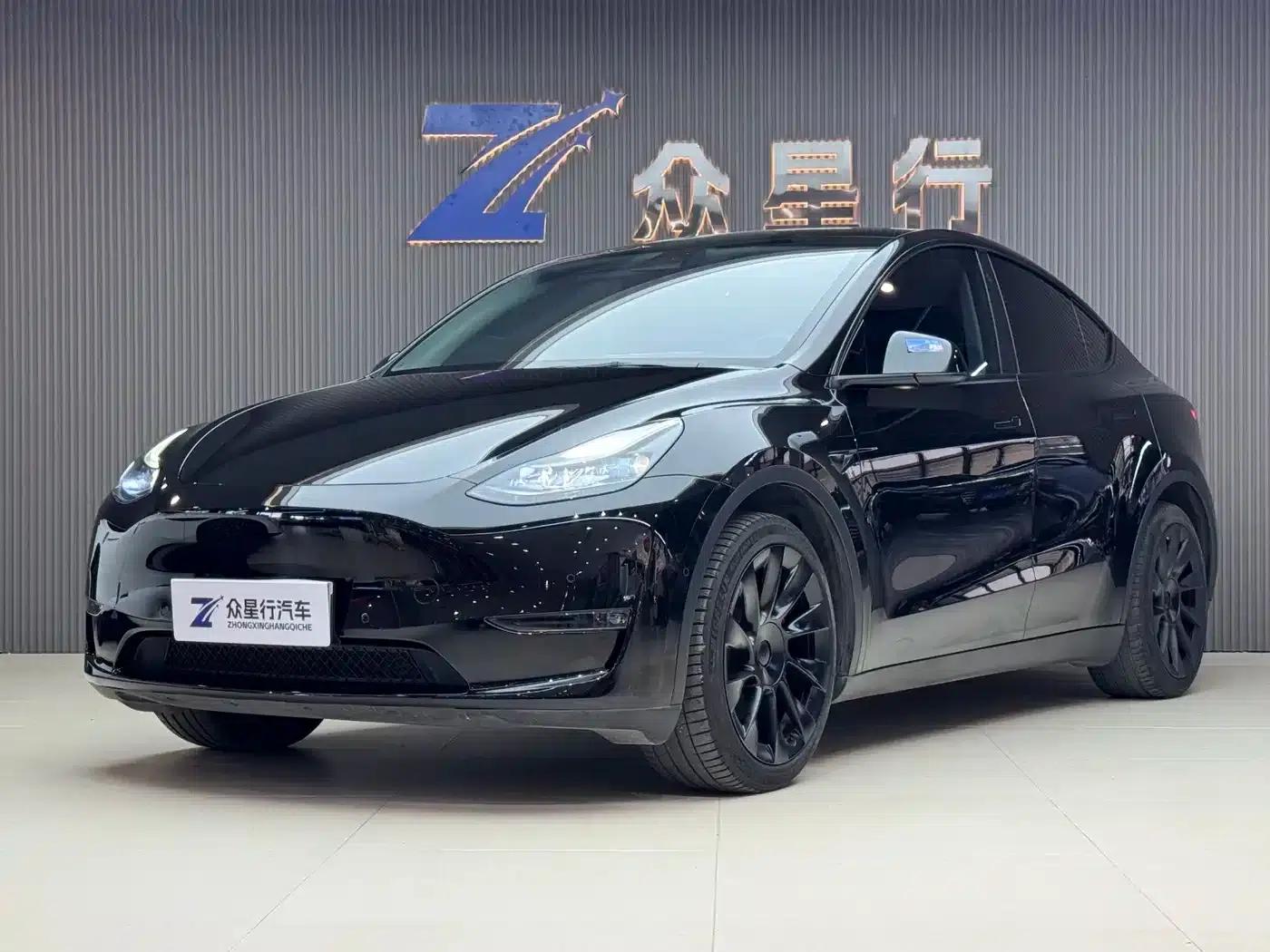 Model Y 2021 Standard Range Rear-Wheel Drive — миниатюра 1