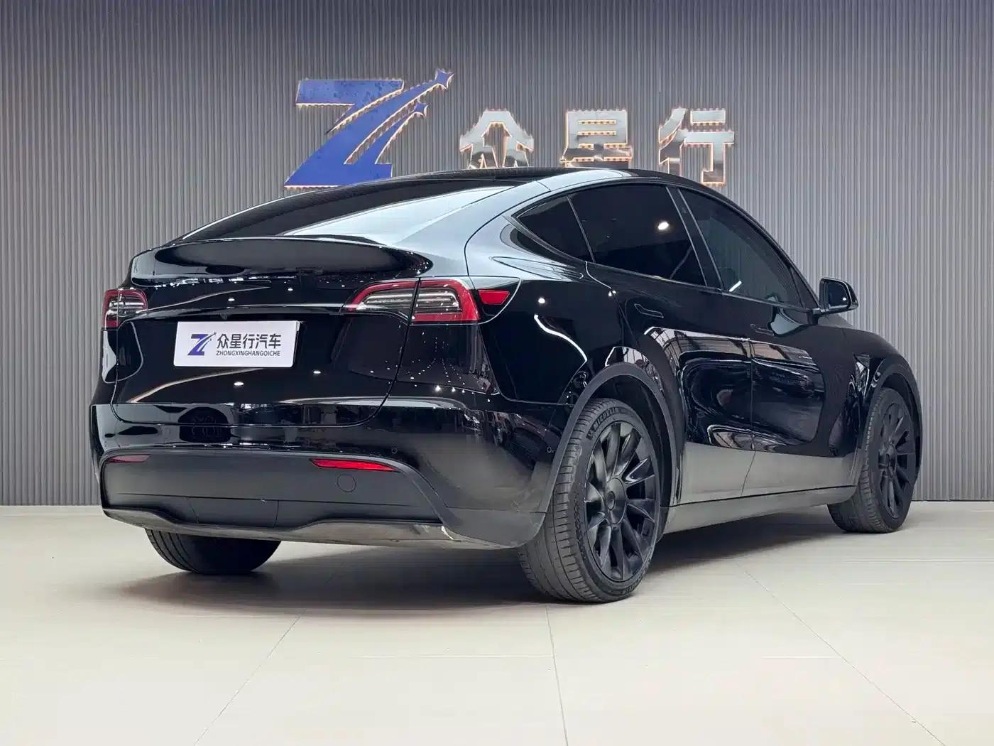 Model Y 2021 Standard Range Rear-Wheel Drive — миниатюра 9