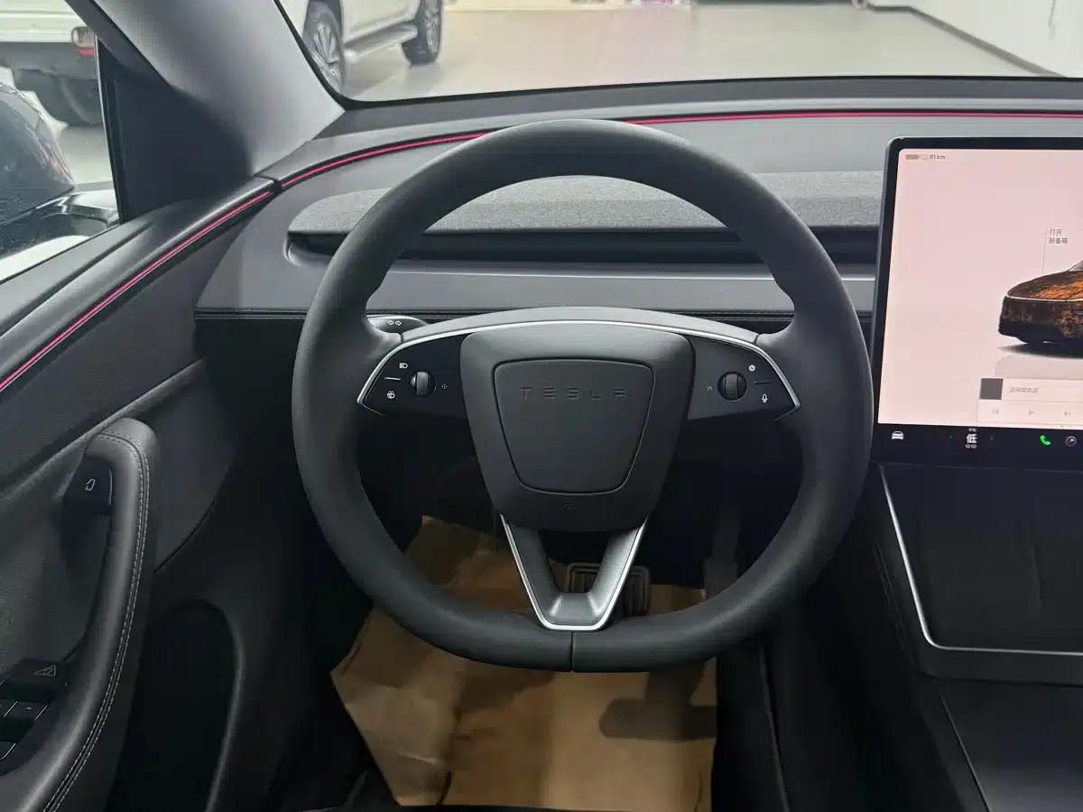Model Y 2025 Rear-Wheel Drive — миниатюра 10
