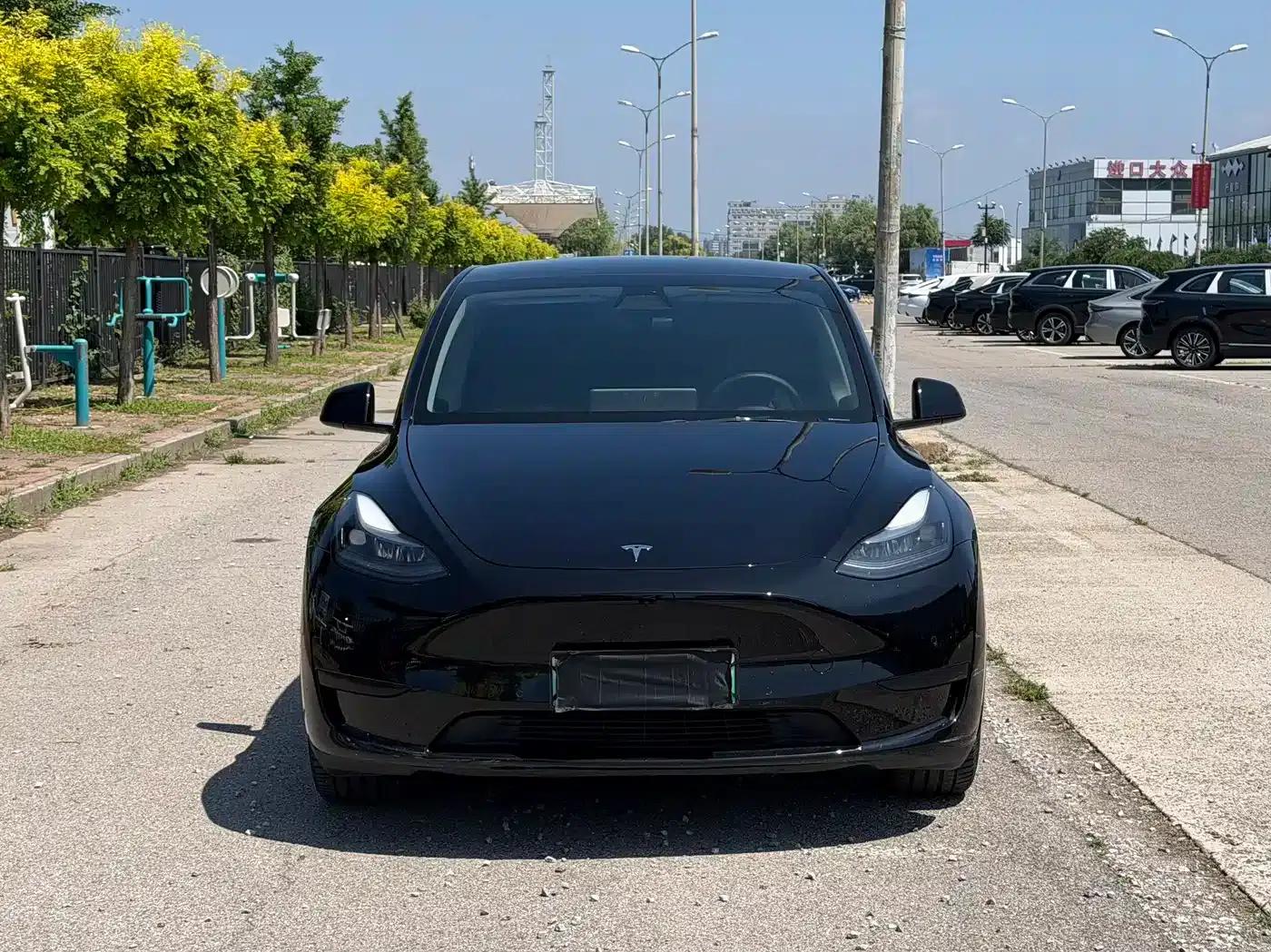 Model Y 2022 Rear-Wheel Drive — миниатюра 2