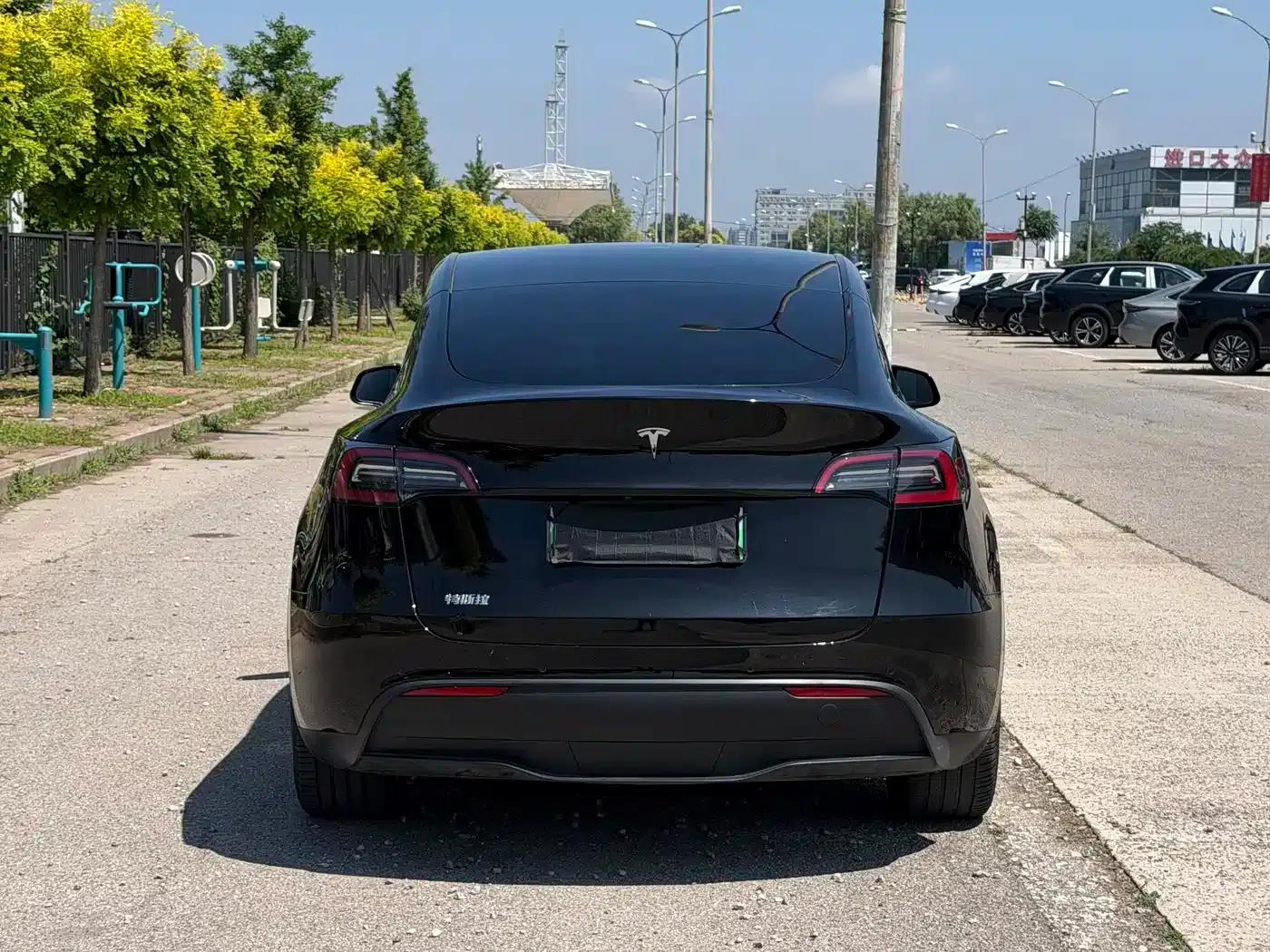 Model Y 2022 Rear-Wheel Drive — миниатюра 5