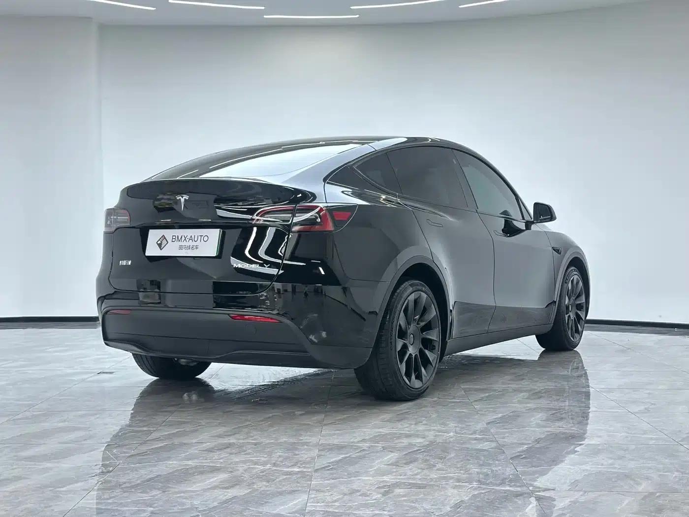 Model Y 2022 Facelift Long Range All-Wheel Drive Version — миниатюра 4