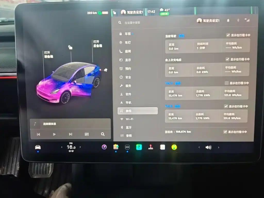 Model Y 2021 Standard Range Rear-Wheel Drive — миниатюра 12