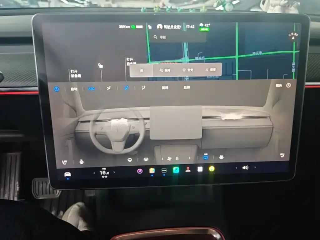Model Y 2021 Standard Range Rear-Wheel Drive — миниатюра 13