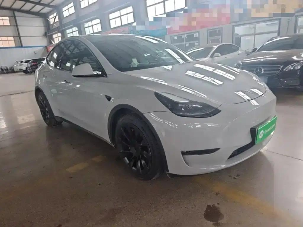 Model Y 2021 Standard Range Rear-Wheel Drive — миниатюра 4