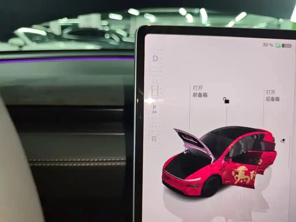 Model Y 2025 Long Range All-Wheel Drive First Edition — миниатюра 14
