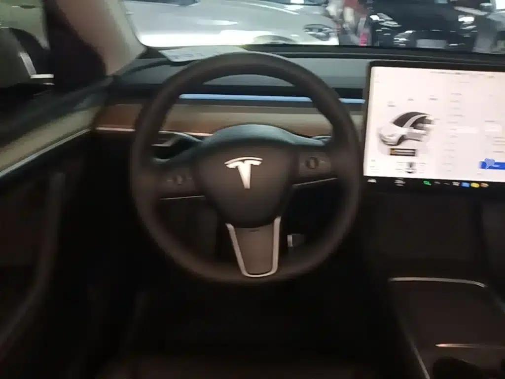 Model Y 2022 Rear-Wheel Drive — миниатюра 11