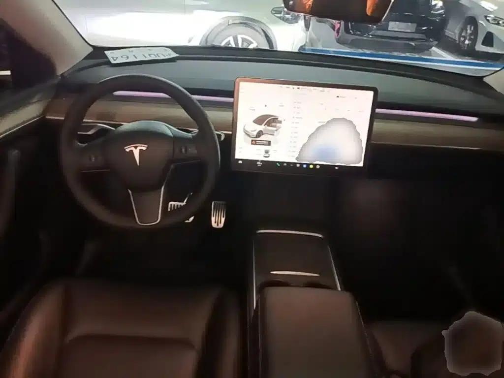 Model Y 2022 Rear-Wheel Drive — миниатюра 10