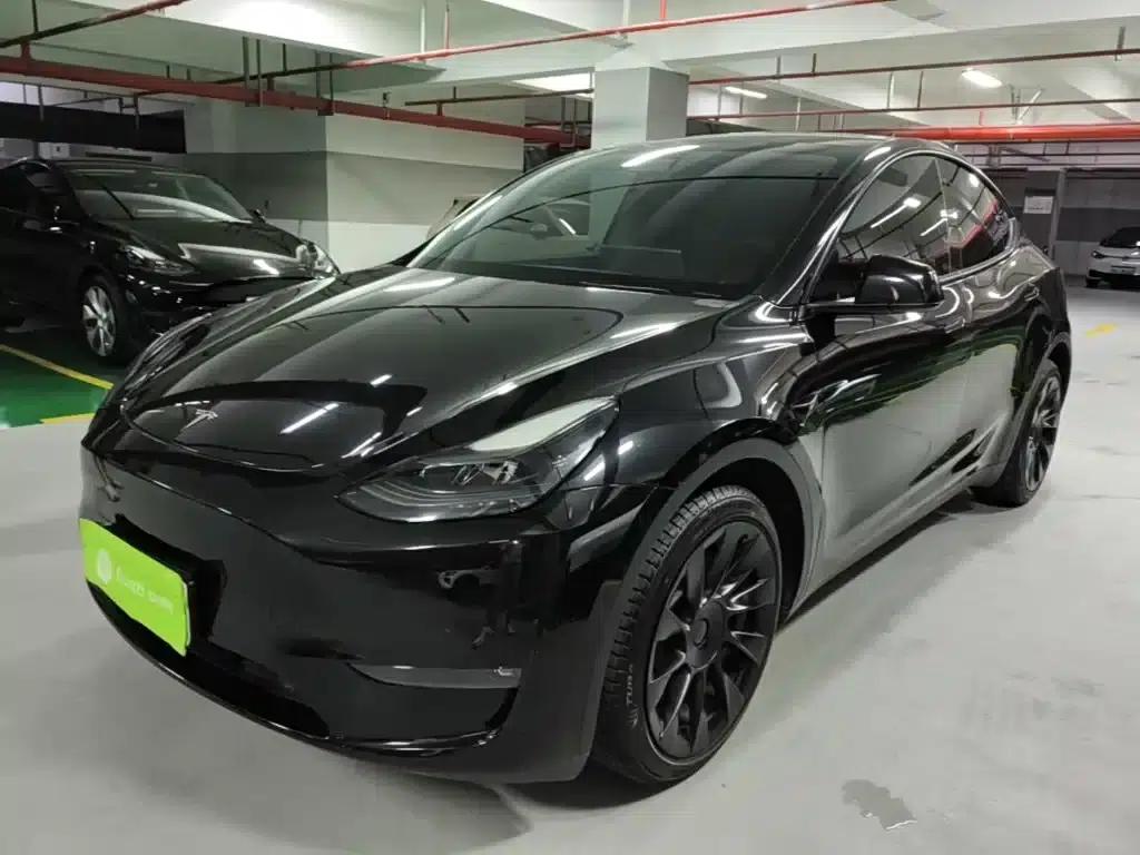 Model Y 2021 Long Range All-Wheel Drive — миниатюра 2