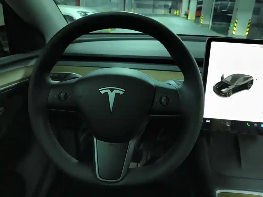 Model Y 2021 Long Range All-Wheel Drive — миниатюра 11