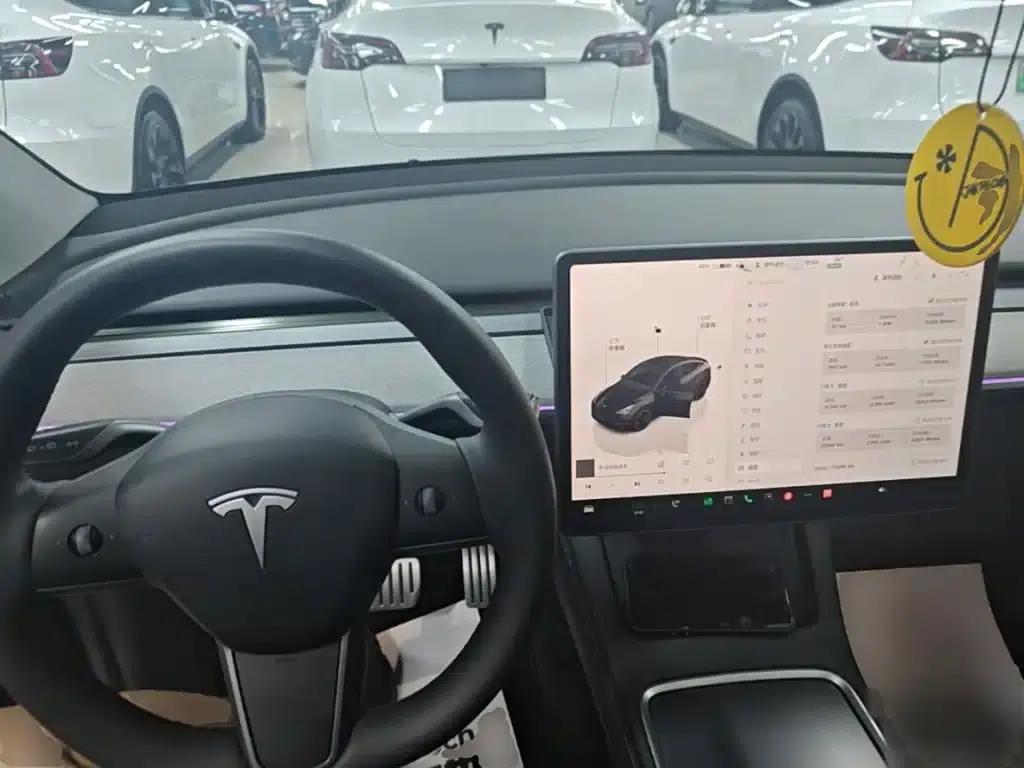 Model Y 2023 Performance All-Wheel Drive — миниатюра 10