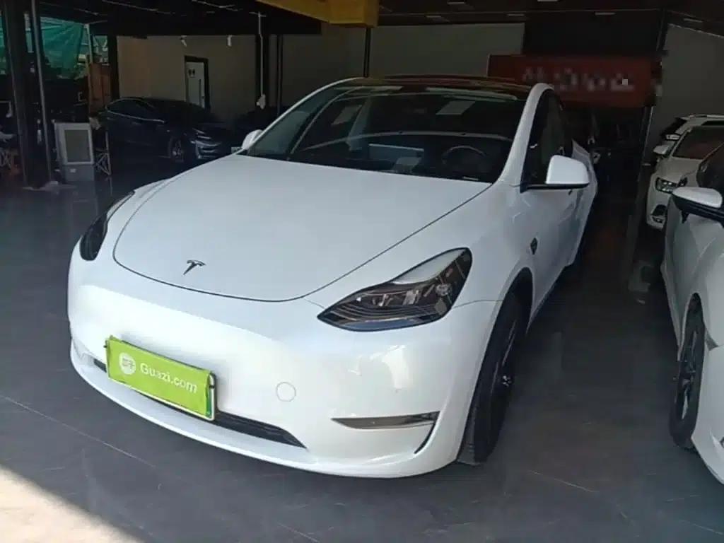 Model Y 2021 Standard Range Rear-Wheel Drive — миниатюра 2