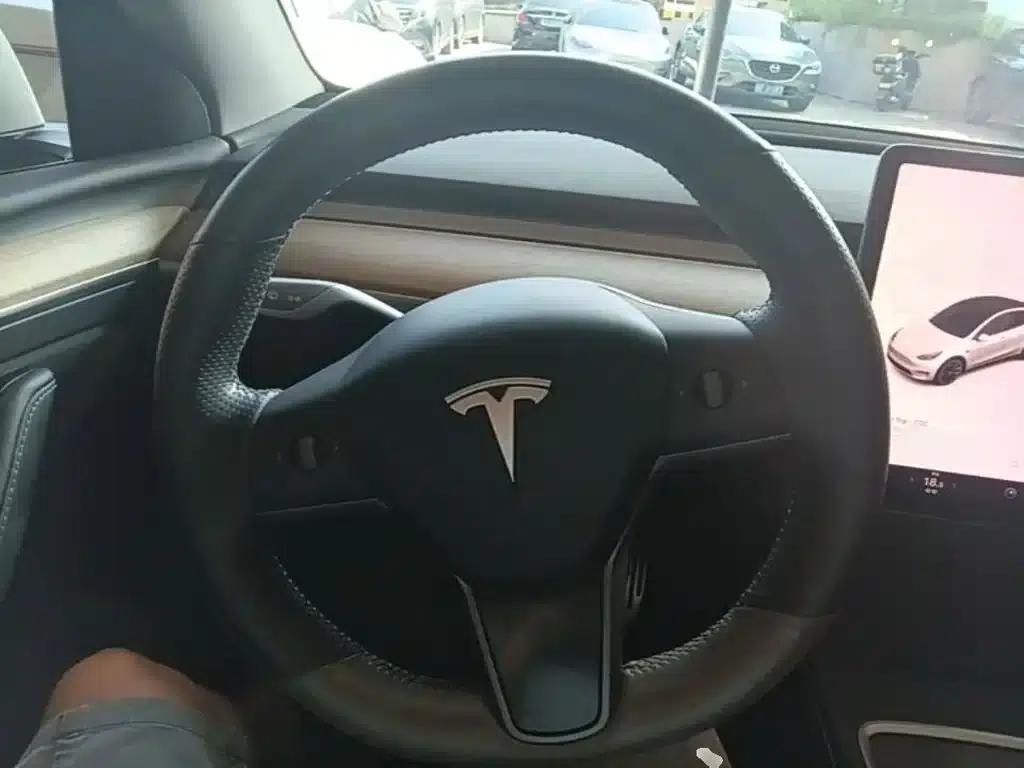 Model Y 2021 Standard Range Rear-Wheel Drive — миниатюра 11