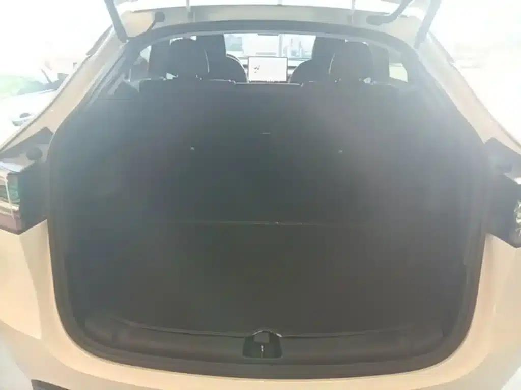 Model Y 2021 Standard Range Rear-Wheel Drive — миниатюра 19