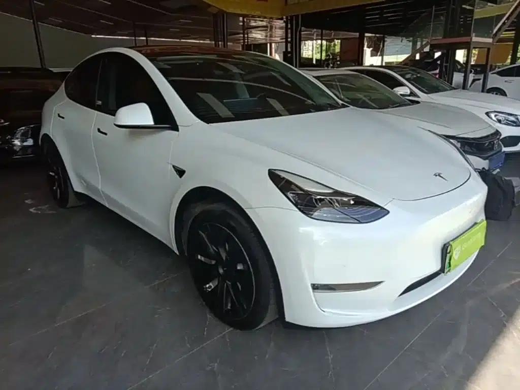 Model Y 2021 Standard Range Rear-Wheel Drive — миниатюра 4