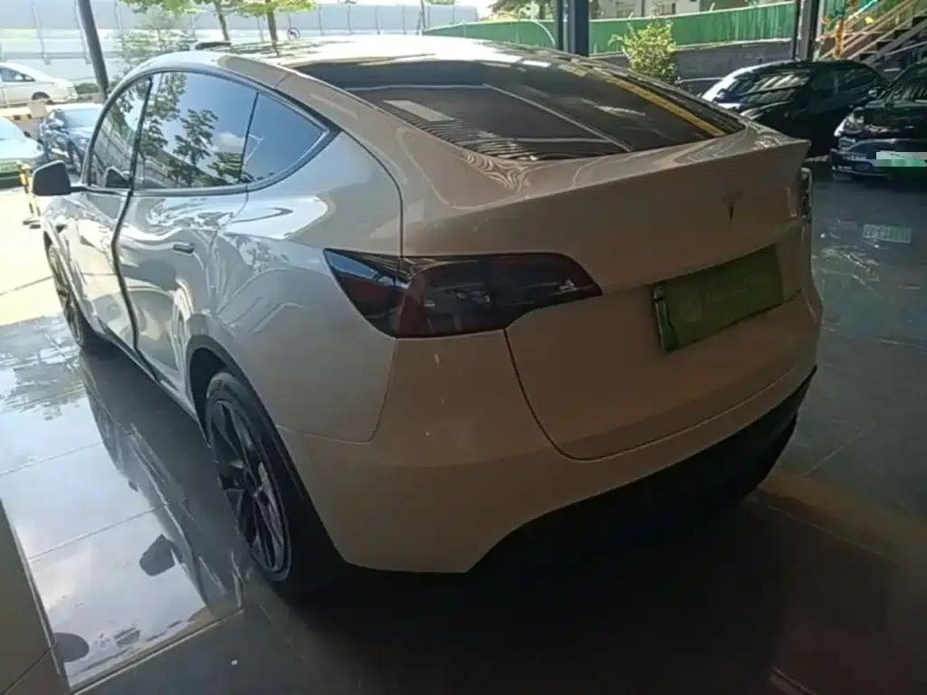 Model Y 2021 Standard Range Rear-Wheel Drive — миниатюра 5