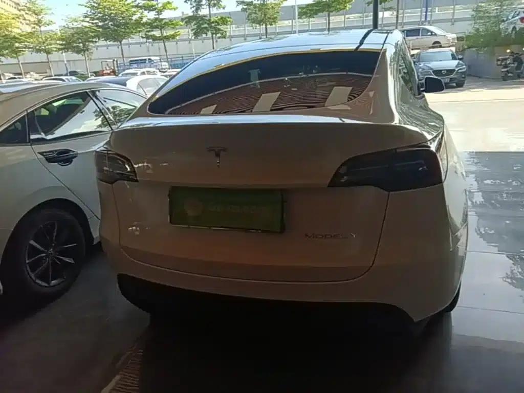 Model Y 2021 Standard Range Rear-Wheel Drive — миниатюра 6
