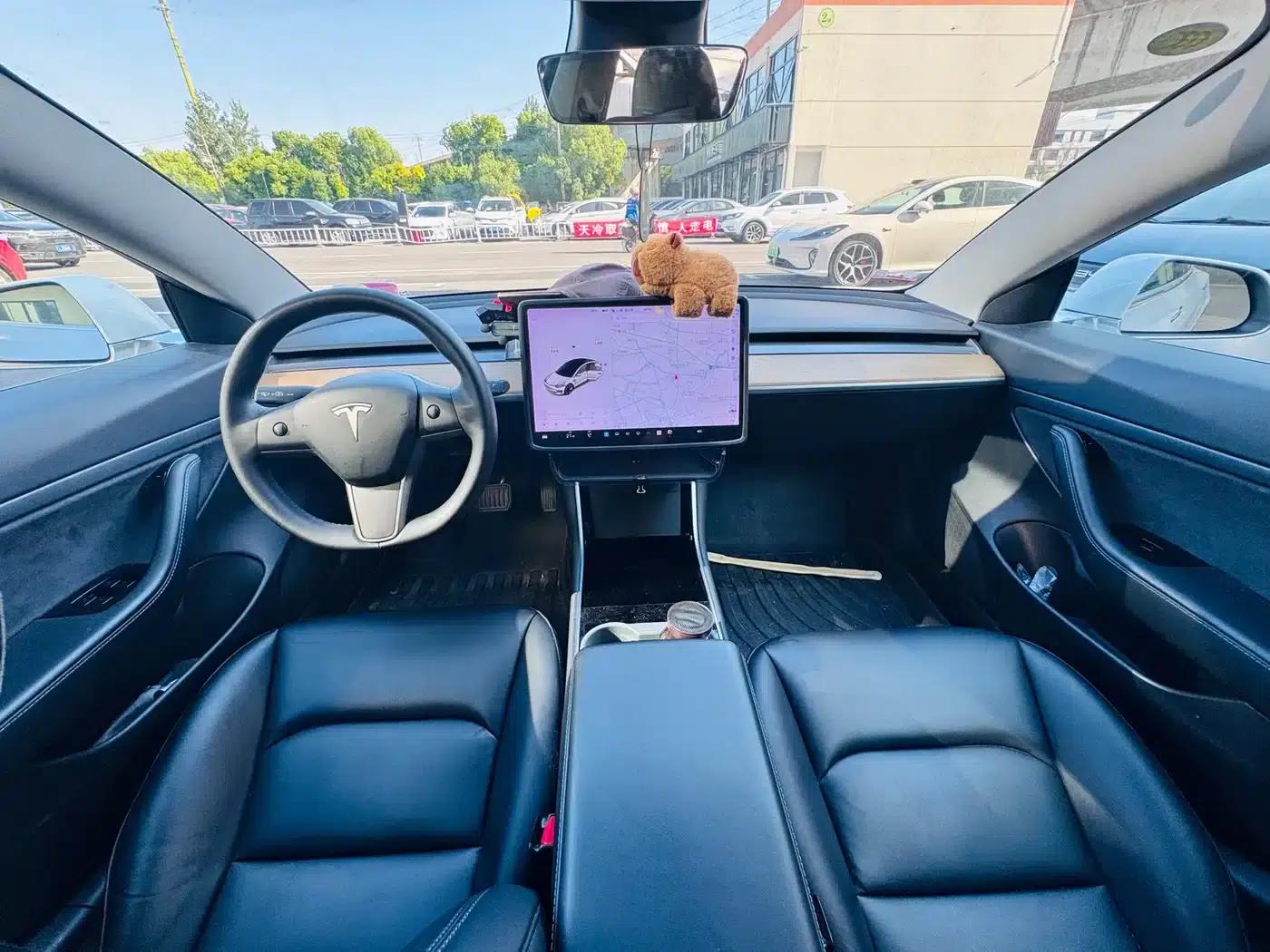 Model 3 2020 Standard Range Rear-Wheel Drive Upgrade — миниатюра 15