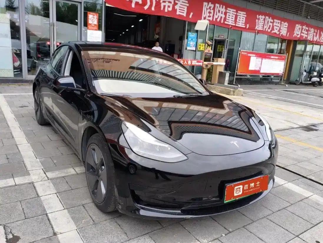 Model 3 2021 Facelift Standard Range Rear-Wheel Drive Upgrade Version 3D1 — миниатюра 2