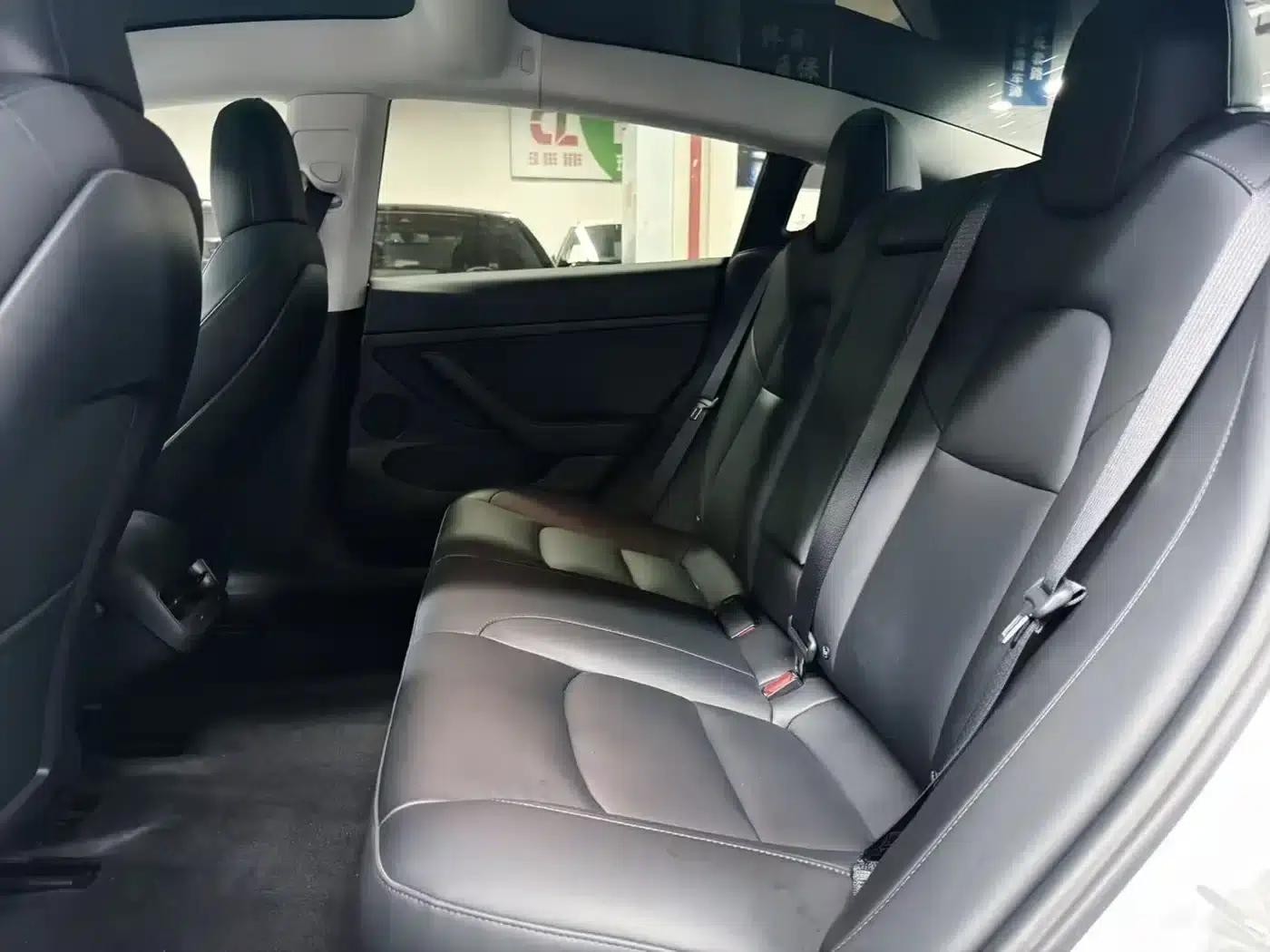 Model 3 2021 Standard Range Rear-Wheel Drive Upgrade — миниатюра 8