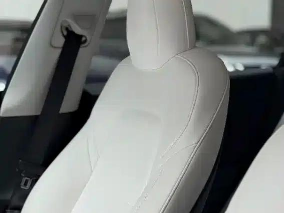 Model 3 2022 Rear-Wheel Drive — миниатюра 10