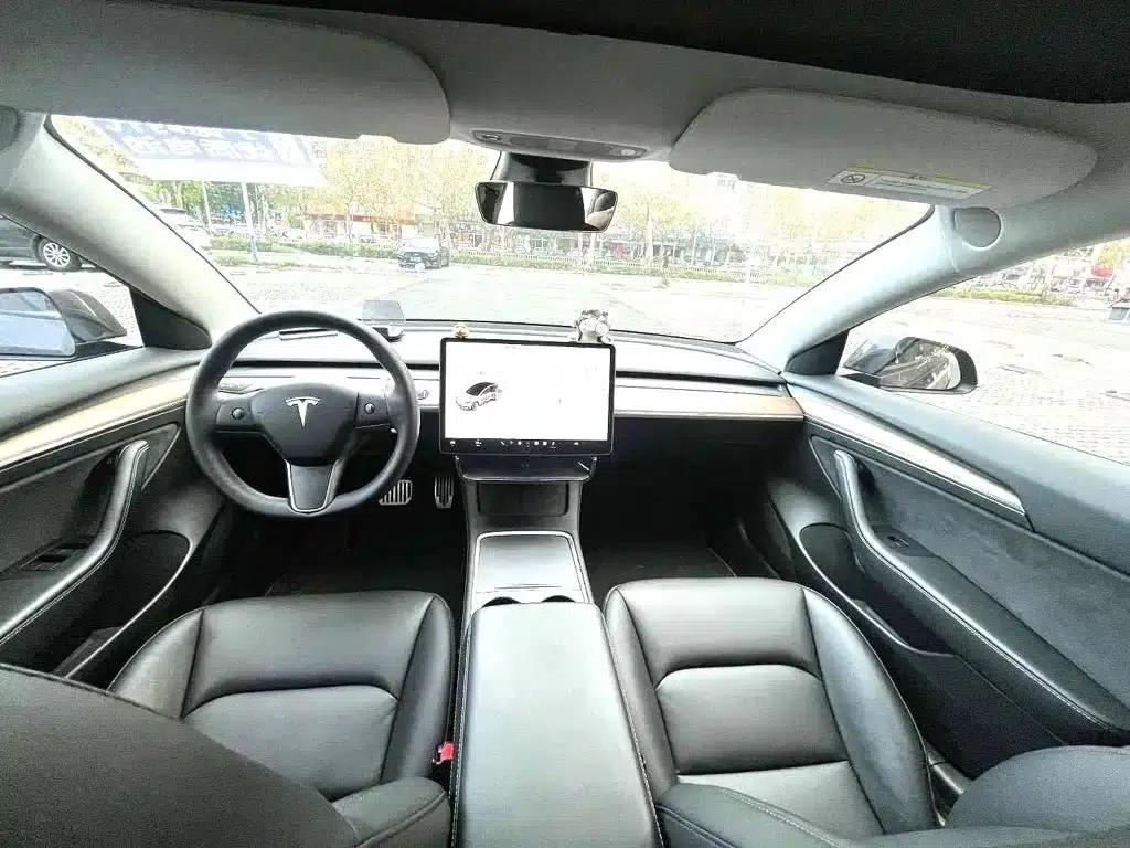 Model 3 2021 Facelift Standard Range Rear-Wheel Drive Upgrade Version 3D1 — миниатюра 6