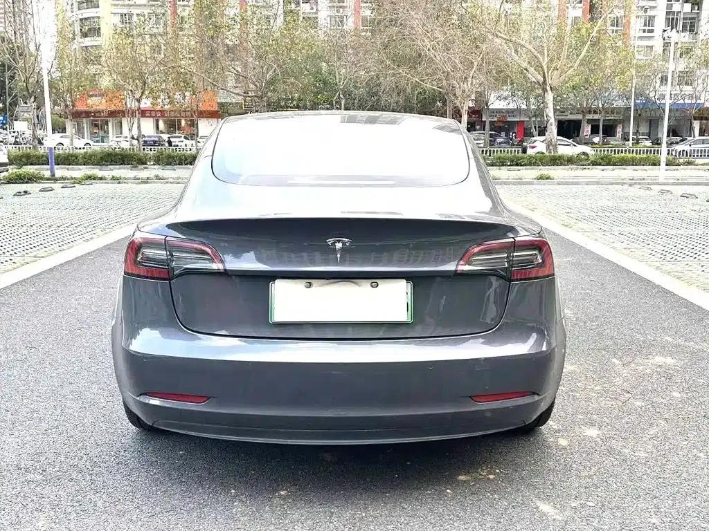 Model 3 2021 Facelift Standard Range Rear-Wheel Drive Upgrade Version 3D1 — миниатюра 8