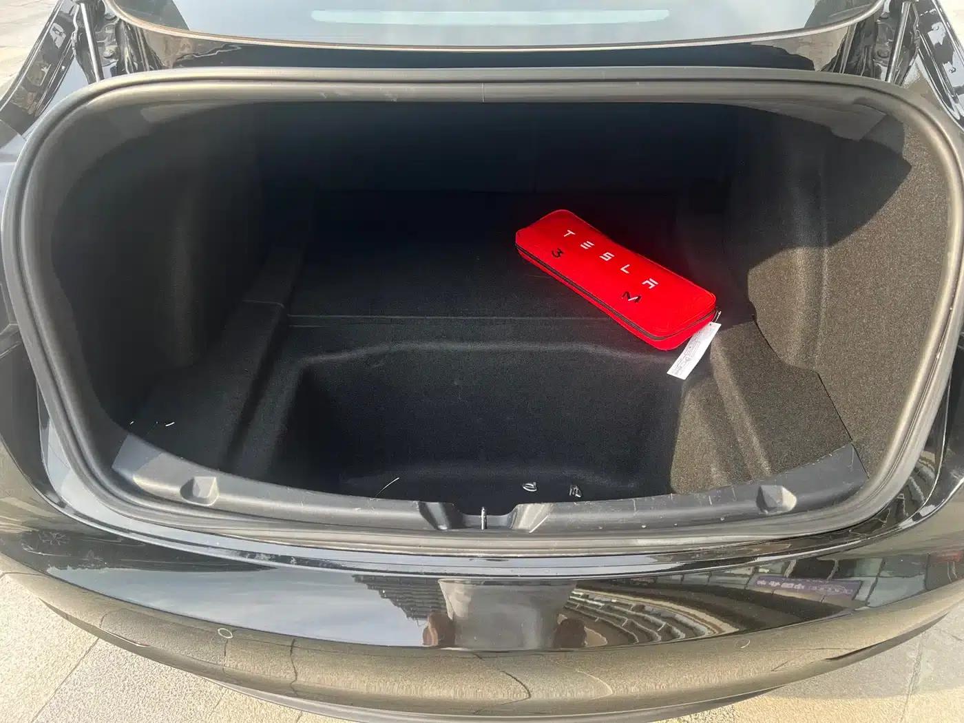 Model 3 2020 Standard Range Rear-Wheel Drive Upgrade — миниатюра 16
