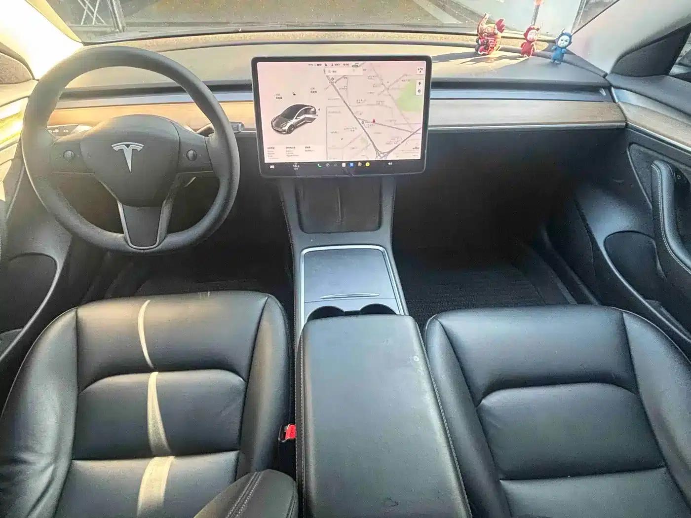 Model 3 2021 Facelift Standard Range Rear-Wheel Drive Upgrade Version 3D1 — миниатюра 4
