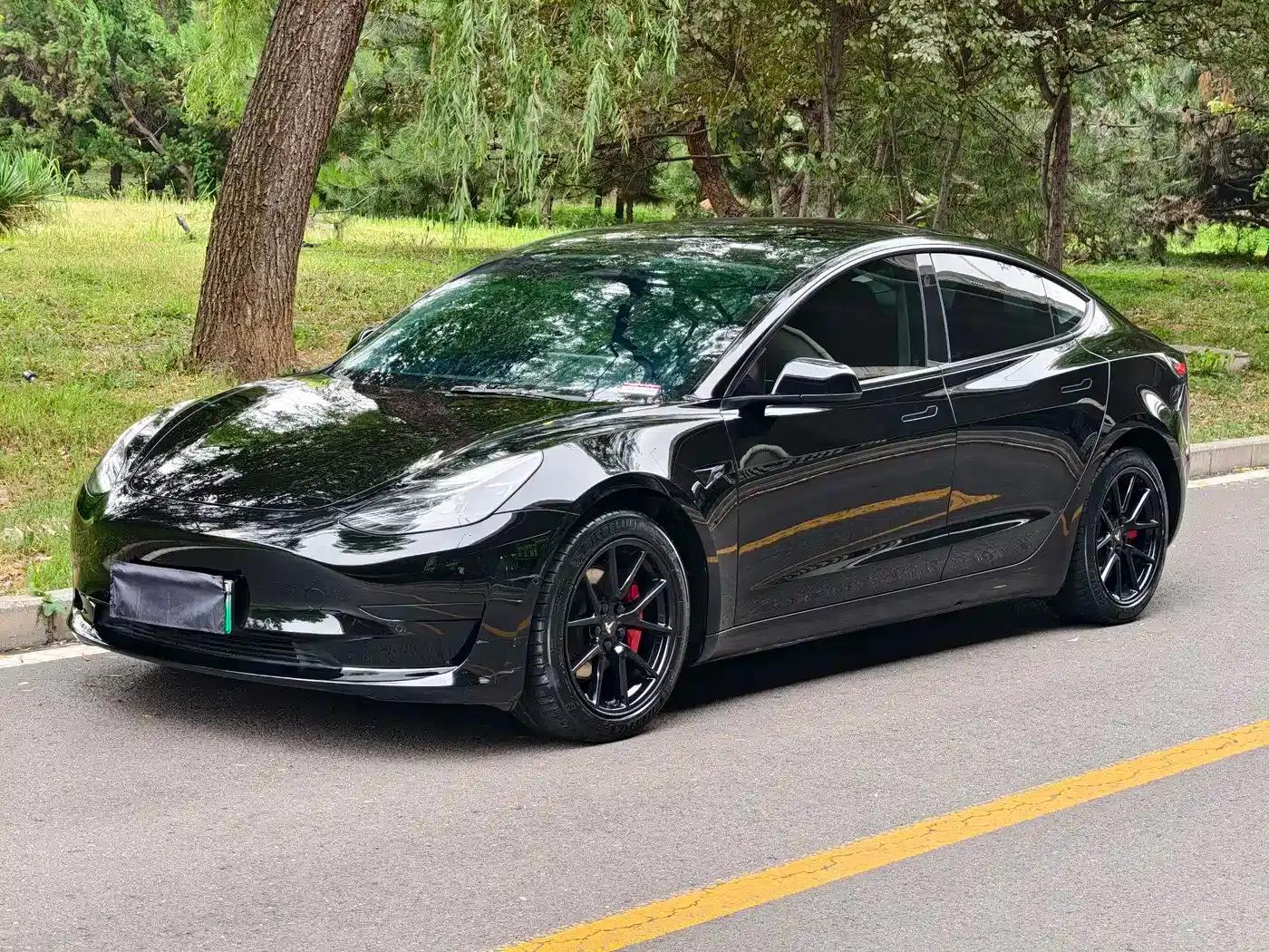 Model 3 2021 Facelift Standard Range Rear-Wheel Drive Upgrade Version 3D1 — миниатюра 1