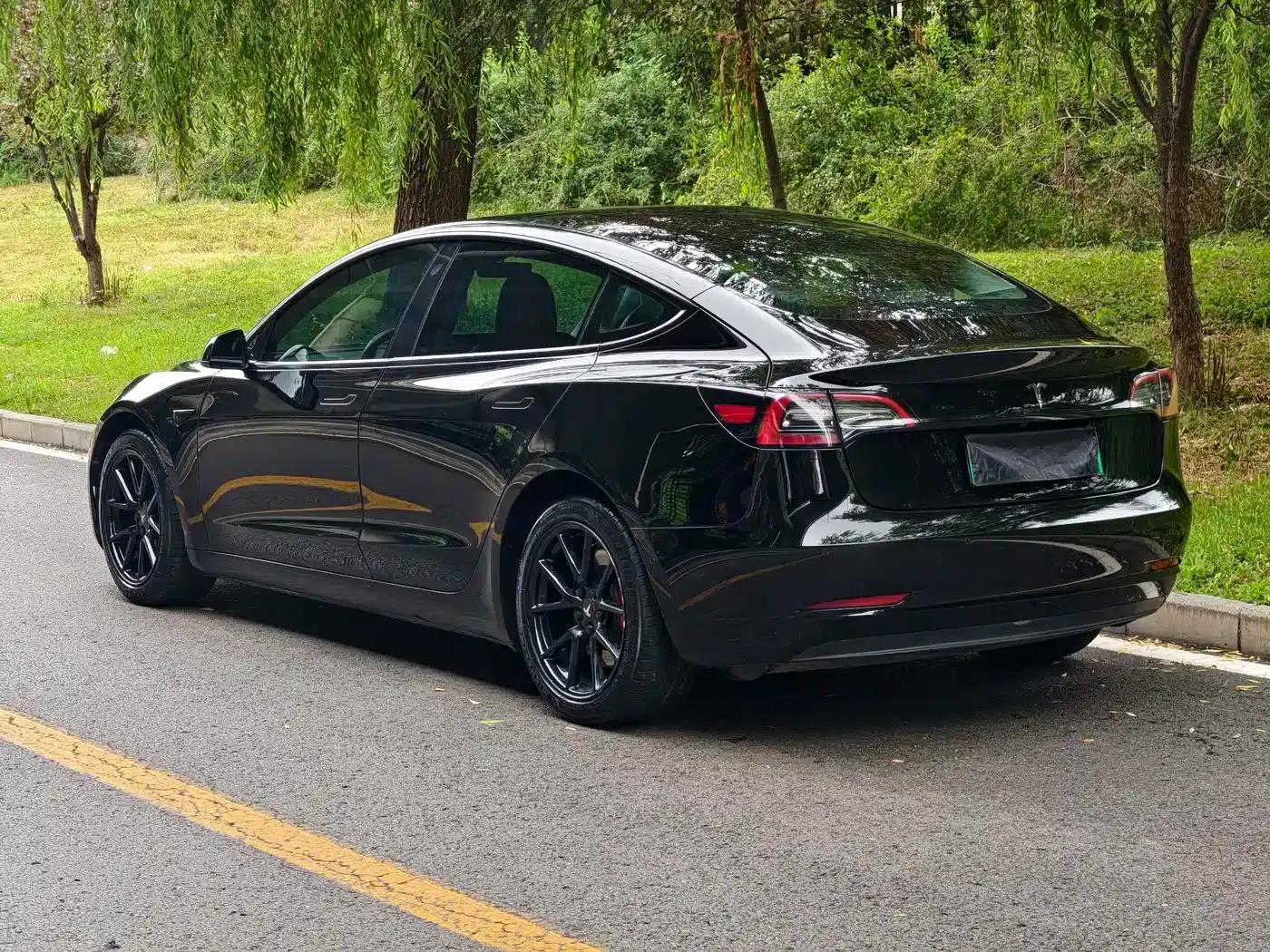 Model 3 2021 Facelift Standard Range Rear-Wheel Drive Upgrade Version 3D1 — миниатюра 4